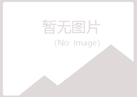 岐山县女孩美容有限公司